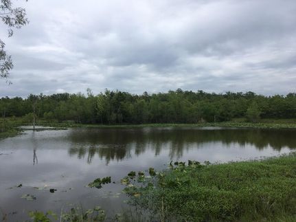 Undeveloped Land in Le Flore County, Oklahoma