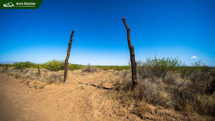 Timberland Property in Cochise County, Arizona