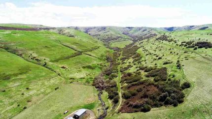 Timberland Property in Umatilla County, Oregon