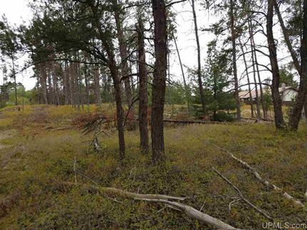 Land in Marquette County, Michigan