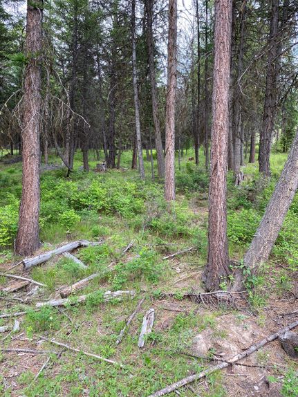 Farm and Ranch in Okanogan County, Washington