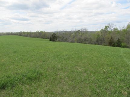 Timberland Property in Fleming County, Kentucky
