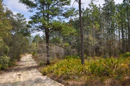 Recreational Property in Hernando County, Florida