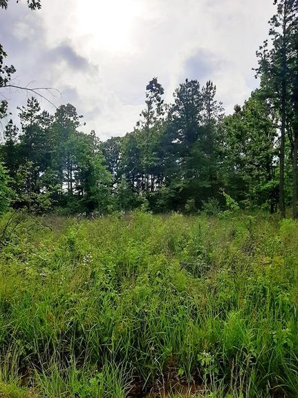 Undeveloped Land in Shannon County, Missouri