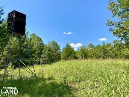 Farm and Ranch in Montgomery County, Alabama