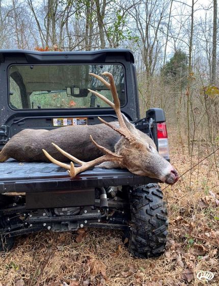 Timberland Property in Caldwell County, Kentucky