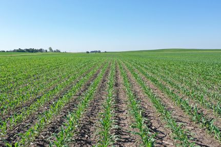 Land in Pocahontas County, Iowa