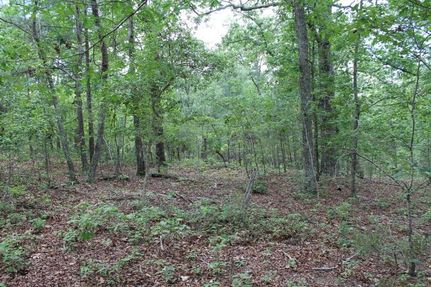 Timberland Property in Moore County, North Carolina
