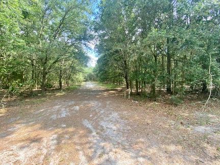 Land in Lafayette County, Florida