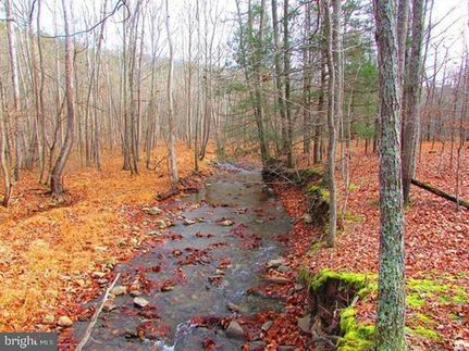 Undeveloped Land in Hardy County, West Virginia