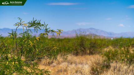 Farm and Ranch in Cochise County, Arizona