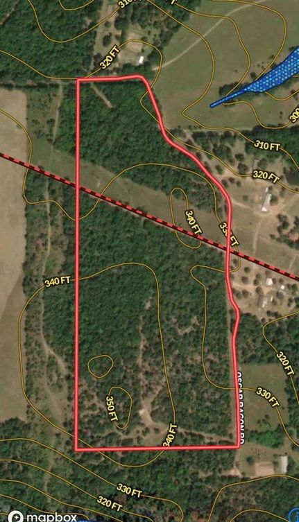 Undeveloped Land in Harrison County, Texas