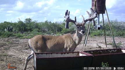 Lakefront Property in Duval County, Texas