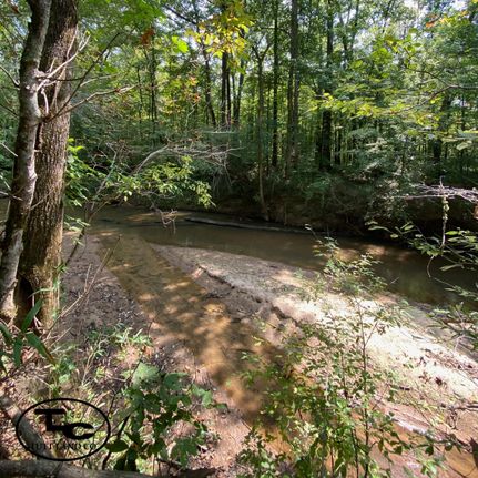 Hunting Property in Noxubee County, Mississippi