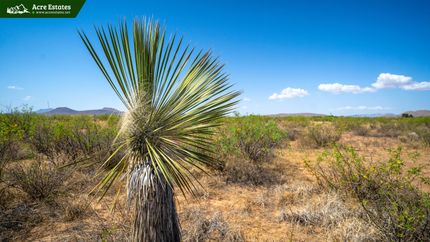 Undeveloped Land in Cochise County, Arizona