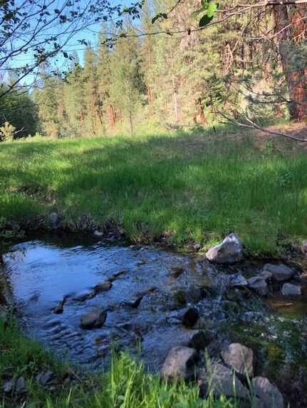 Undeveloped Land in Grant County, Oregon