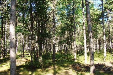 Recreational Property in Adams County, Wisconsin