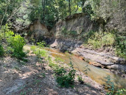 Hunting Property in Milam County, Texas