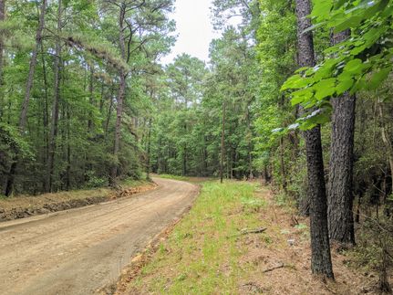 Hunting Property in Tyler County, Texas