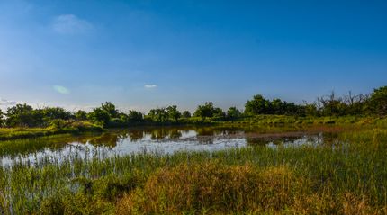 Land in Young County, Texas