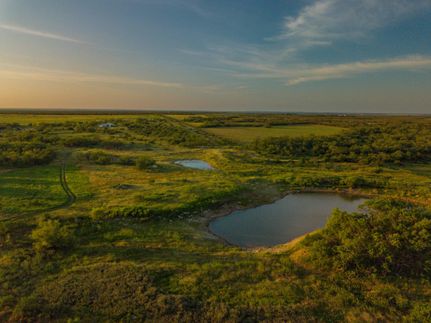 Timberland Property in McCulloch County, Texas