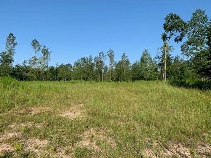 Land in Polk County, Texas
