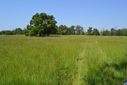 Farm and Ranch in Houston County, Texas