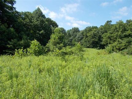 Lakefront Property in Vermillion County, Indiana