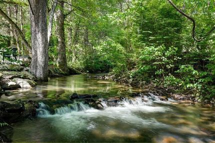 Farm and Ranch in Graham County, North Carolina