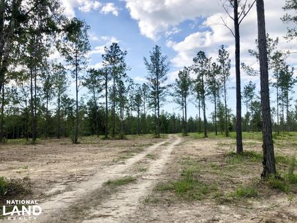Farm and Ranch in Baldwin County, Alabama