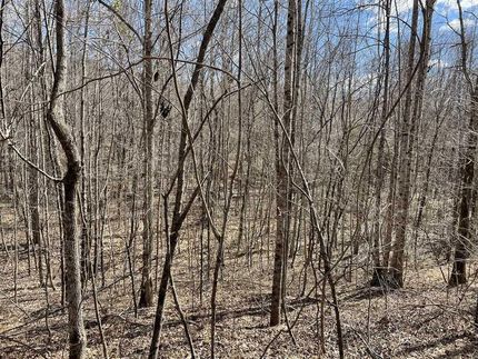 Land in Clay County, Mississippi