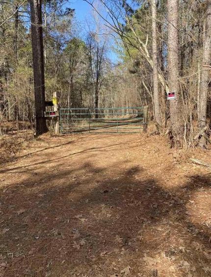 Timberland Property in Hinds County, Mississippi