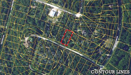 Undeveloped Land in Bastrop County, Texas