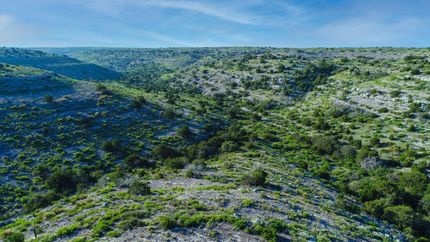Timberland Property in Val Verde County, Texas