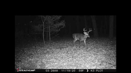 Land in Clark County, Missouri