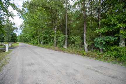Timberland Property in Prince Edward County, Virginia