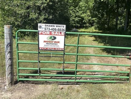 Timberland Property in Monroe County, Missouri