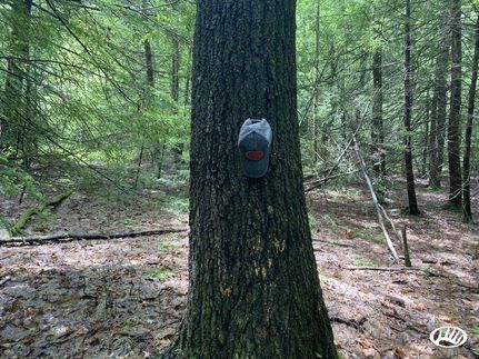 Timberland Property in Pike County, Pennsylvania