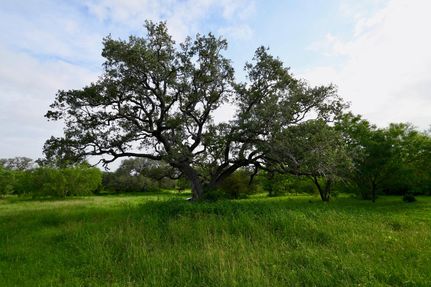 Hunting Property in Bee County, Texas