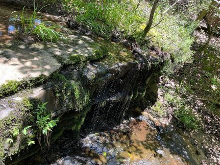 Land in Izard County, Arkansas