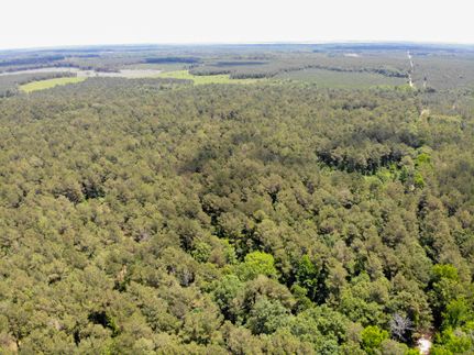 Land in Drew County, Arkansas