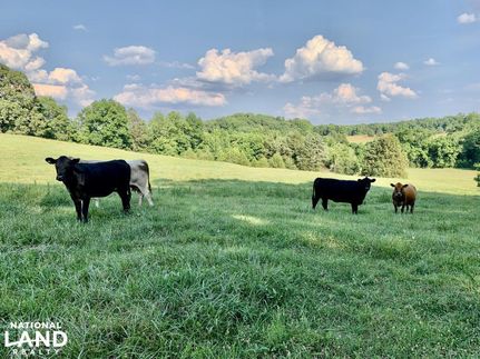 Farm and Ranch in Abbeville County, South Carolina