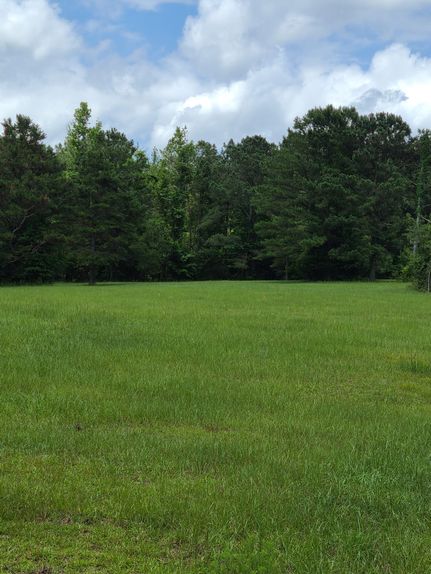 Hunting Property in Dale County, Alabama