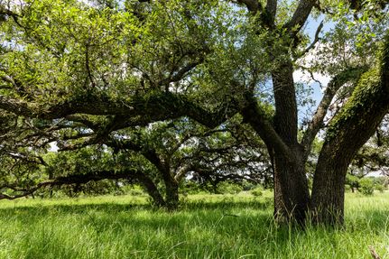 Farm and Ranch in Lavaca County, Texas
