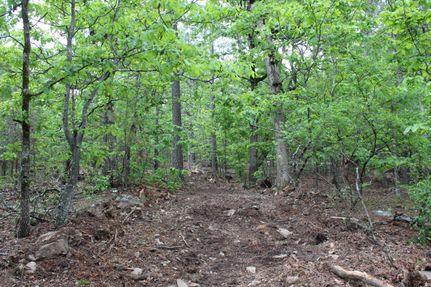 Undeveloped Land in Latimer County, Oklahoma