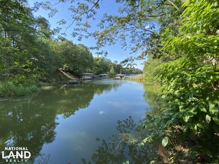 Homesite in Henry County, Alabama