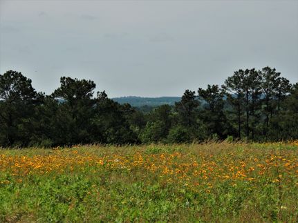 Recreational Property in Houston County, Texas