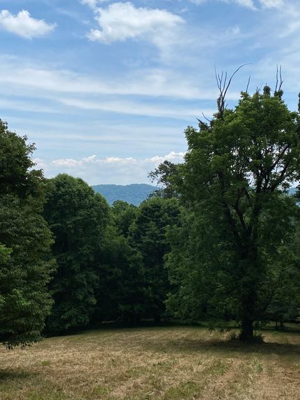 Land in Grainger County, Tennessee