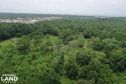 Undeveloped Land in Mobile County, Alabama