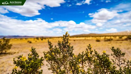 Commercial Property in San Bernardino County, California